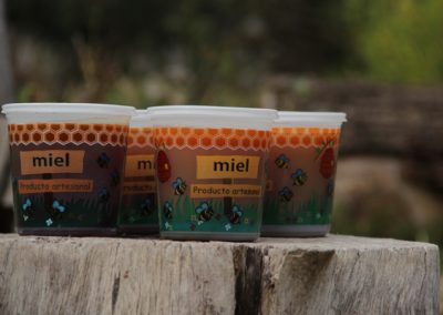 Venta de miel, abejas reinas y servicios de polinización - Apícola Azul Cielo