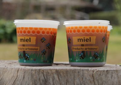 Venta de miel, abejas reinas y servicios de polinización - Apícola Azul Cielo